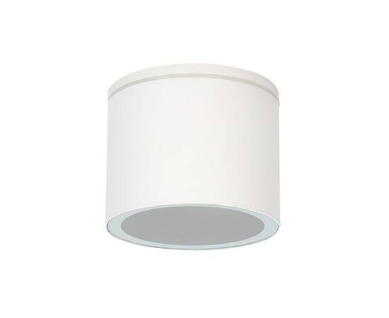 Уличный потолочный светильник Arte Lamp Piautos A1913PF-1WH