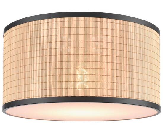 Потолочный светильник Velante 568-717-01