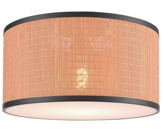 Потолочный светильник Velante 568-707-01