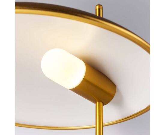 Настольная лампа Lightstar Marmara 801913, изображение 5