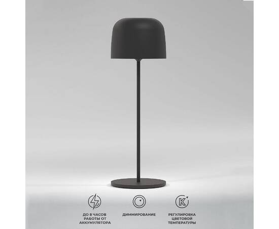 Уличная настольная лампа Elektrostandard Bitty TL70260 4690389211638 a069002