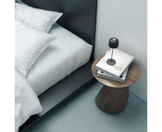 Уличная настольная лампа Elektrostandard Bitty TL70260 4690389211638 a069002, изображение 3