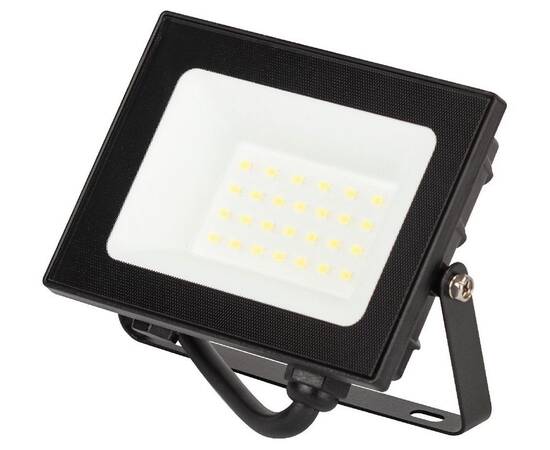 Прожектор Эра LPR-062-0-65K-020 Б0064648