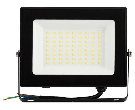 Прожектор Эра LPR-062-0-65K-050 Б0064625, изображение 2