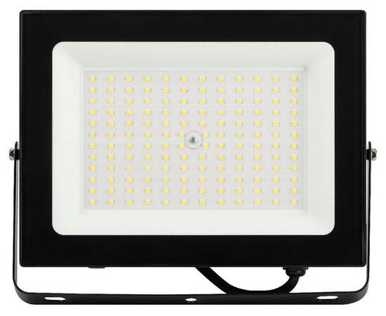 Прожектор Эра LPR-062-0-65K-100 Б0064701, изображение 2