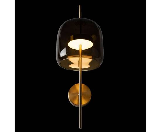 Настенный светильник Loft IT Dauphin 10040W, изображение 4