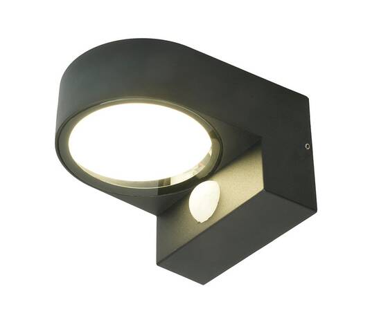 Уличный настенный светильник Feron Бостон DH1202 51327, изображение 3