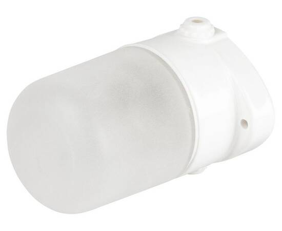 Настенно-потолочный светильник Эра НББ 02-60-001 Б0064005, изображение 2