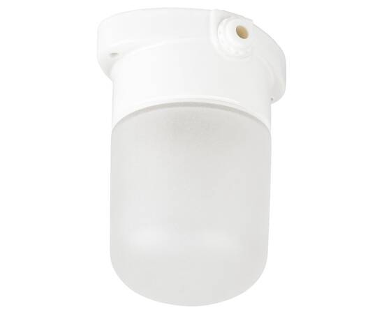 Настенно-потолочный светильник Эра НББ 02-60-001 Б0064005, изображение 3