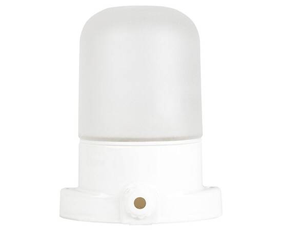 Настенно-потолочный светильник Эра НББ 02-60-001 Б0064005, изображение 4