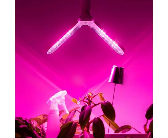 Фитолампа для растений красно-синего спектра Эра ФИТО-20W-PL-E27-GR Б0064517, изображение 10