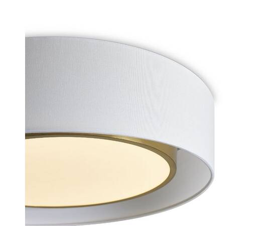 Потолочный светильник Freya Cozy FR6170CL-L52BS, изображение 3