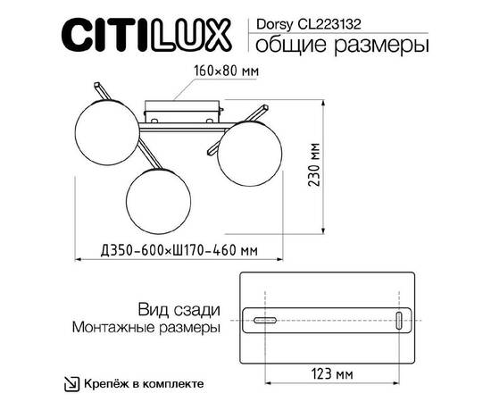 Настенно-потолочный светильник Citilux Dorsy CL223132, изображение 11