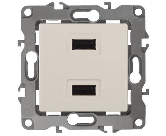 Розетка USB Эра 12-4110-02 Б0027492