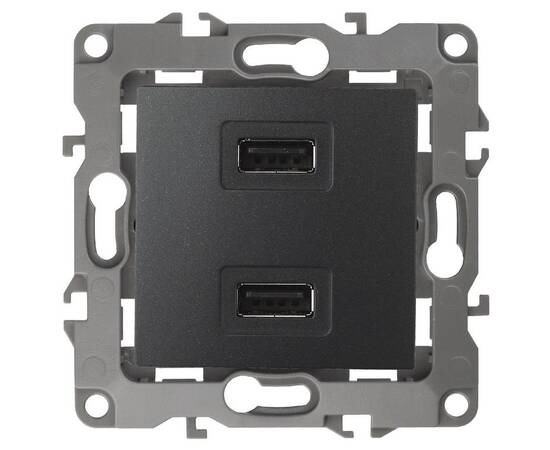 Розетка USB Эра 12-4110-05 Б0027495