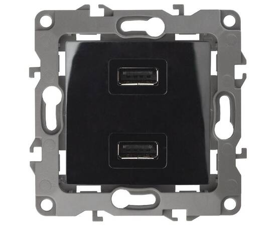 Розетка USB Эра 12-4110-06 Б0027496