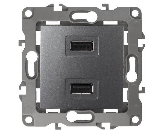 Розетка USB Эра 12-4110-12 Б0027497