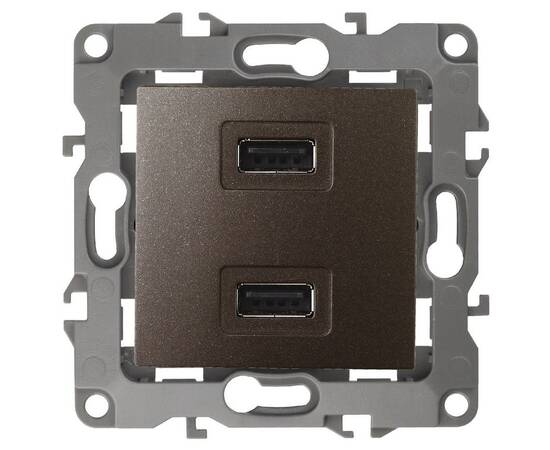 Розетка USB Эра 12-4110-13 Б0027498