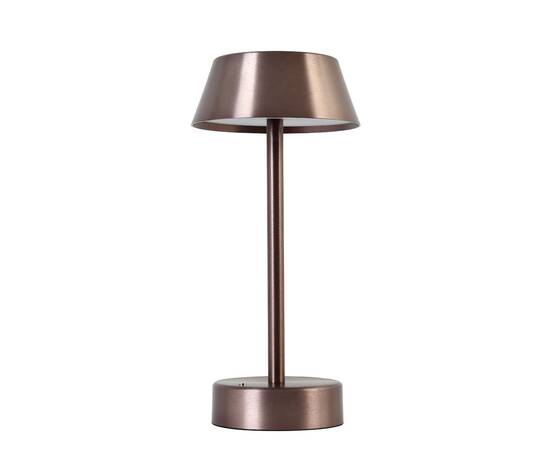 Настольная лампа Crystal Lux Santa SANTA LG1 COFFEE