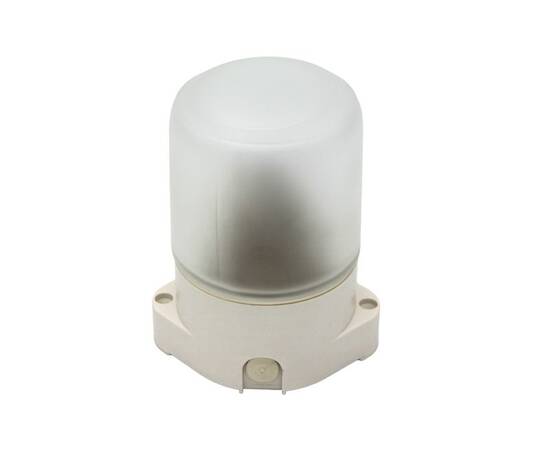 Потолочный светильник ЭРА НББ 01-60-001 Б0048030