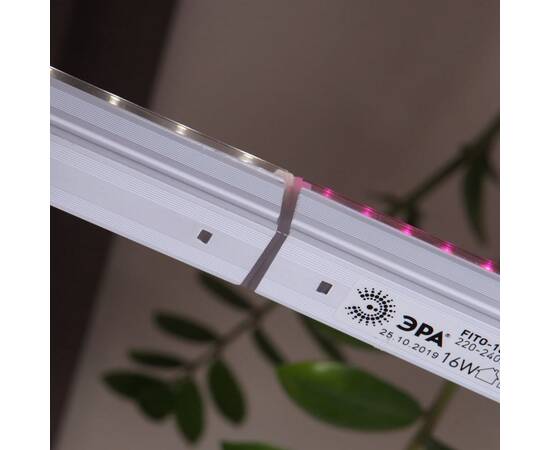 Светильник для растений ЭРА FITO-9W-T5-Ra90 Б0049311, изображение 9