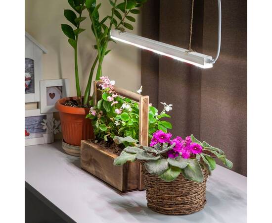 Светильник для растений ЭРА FITO-9W-T5-Ra90 Б0049311, изображение 10