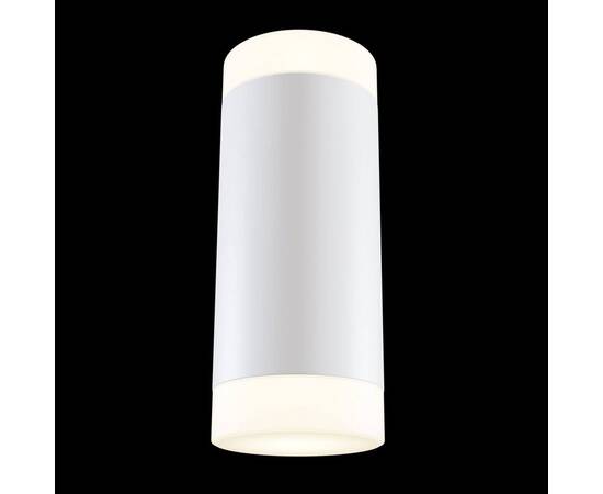 Настенный светильник Maytoni Dafne C027WL-L10W, изображение 2