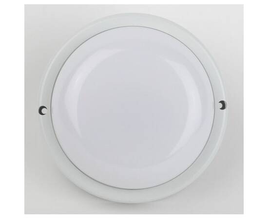 Настенно-потолочный светильник Эра SPB-201-0-40K-018 Б0054579, изображение 4