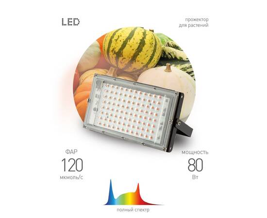 Фитопрожектор для растений Эра FITO-80W-Ra90-LED-Y Б0057284, изображение 2