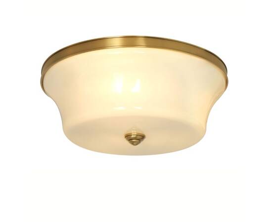 Потолочный светильник Cloyd Parade 10014