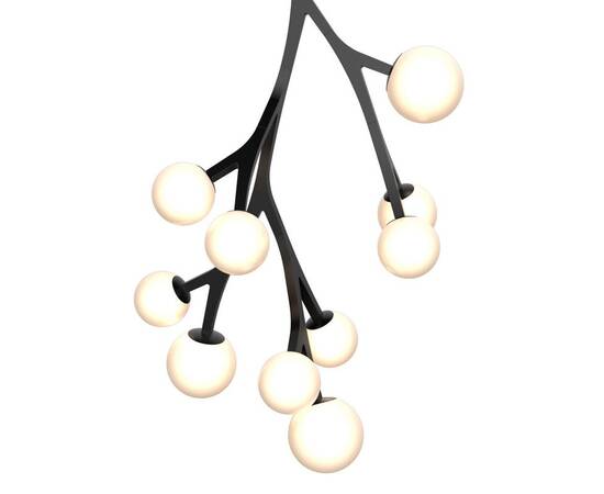 Подвесная люстра Delight Collection MD2050-10A black, изображение 2