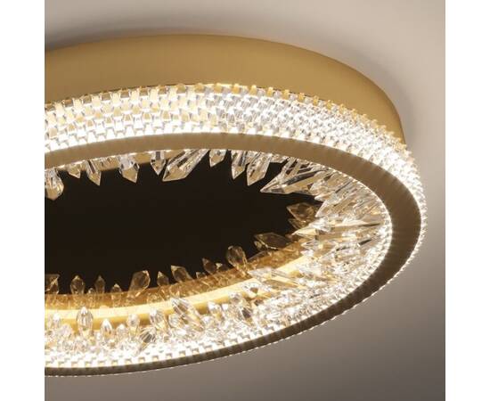 Настенно-потолочный светильник Delight Collection XD-50 gold, изображение 3