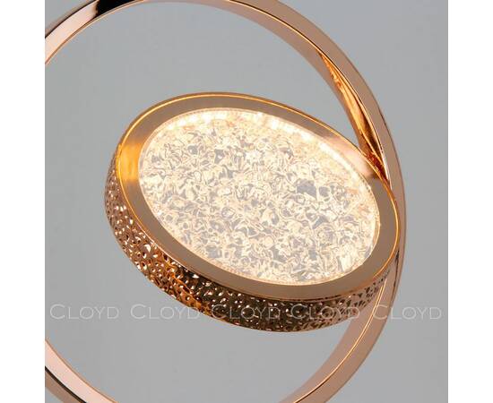 Подвесной светильник Cloyd Ringone 11154, изображение 2