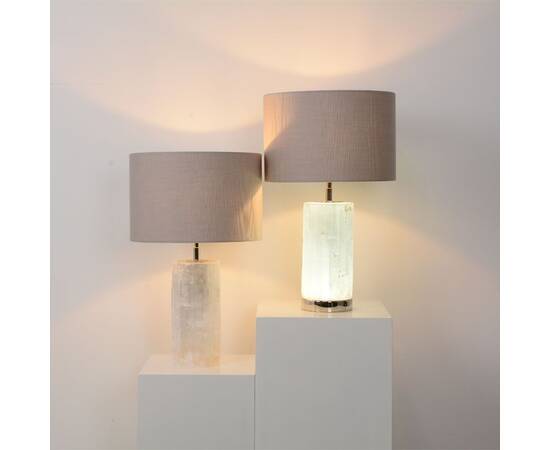 Настольная лампа DeLight Collection Table Lamp BRTL3187S, изображение 6