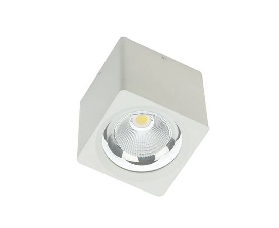 Накладной светодиодный светильник Fiberli CH-SD220-1(W) 12120103