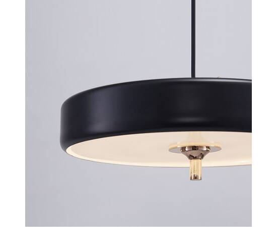 Подвесной светильник DeLight Collection Revolve 9187P black/gold, изображение 2