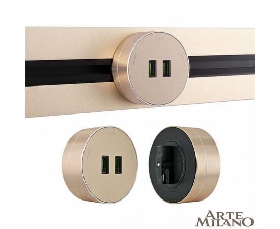 Трековая розетка Arte Milano Am-track-sockets 380011TS/USBx2 Gold