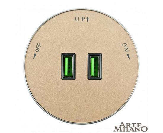 Трековая розетка Arte Milano Am-track-sockets 380011TS/USBx2 Gold, изображение 3
