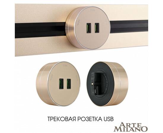 Трековая розетка Arte Milano Am-track-sockets 380011TS/USBx2 Gold, изображение 5