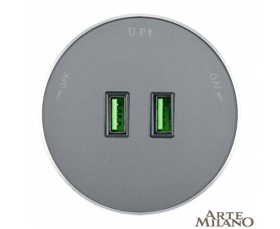 Трековая розетка Arte Milano Am-track-sockets 380011TS/USBx2 Grey, изображение 3