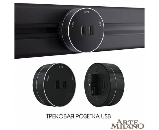 Трековая розетка Arte Milano Am-track-sockets 380011TS/USBx2 Black, изображение 5