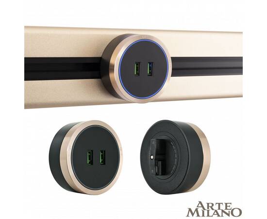 Трековая розетка Arte Milano Am-track-sockets 380066TS LED/USBx2 Gold