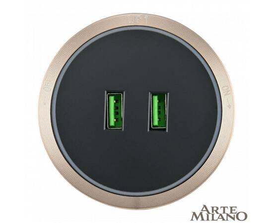Трековая розетка Arte Milano Am-track-sockets 380066TS LED/USBx2 Gold, изображение 3