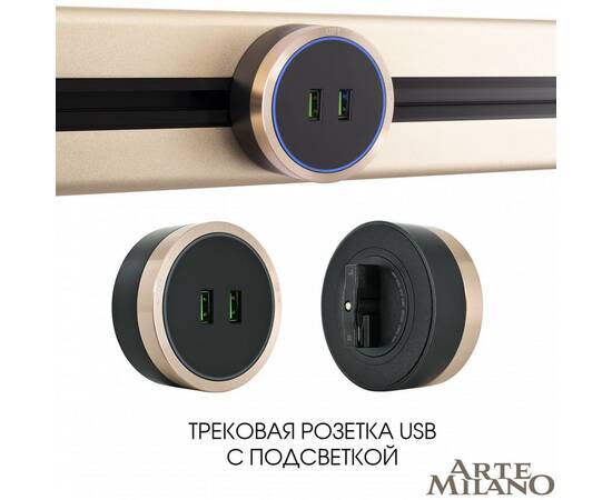 Трековая розетка Arte Milano Am-track-sockets 380066TS LED/USBx2 Gold, изображение 5