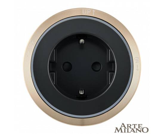 Трековая розетка Arte Milano Am-track-sockets 380066TS LED/ES Gold, изображение 3