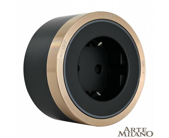 Трековая розетка Arte Milano Am-track-sockets 380066TS LED/ES Gold, изображение 4