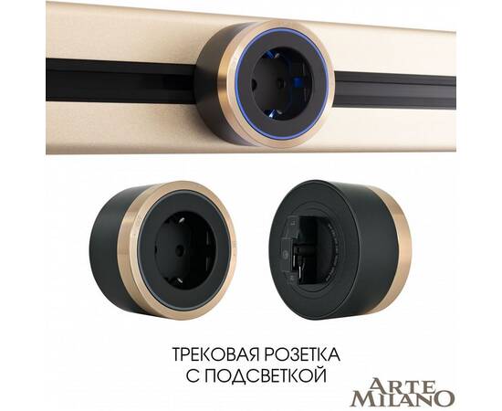 Трековая розетка Arte Milano Am-track-sockets 380066TS LED/ES Gold, изображение 5