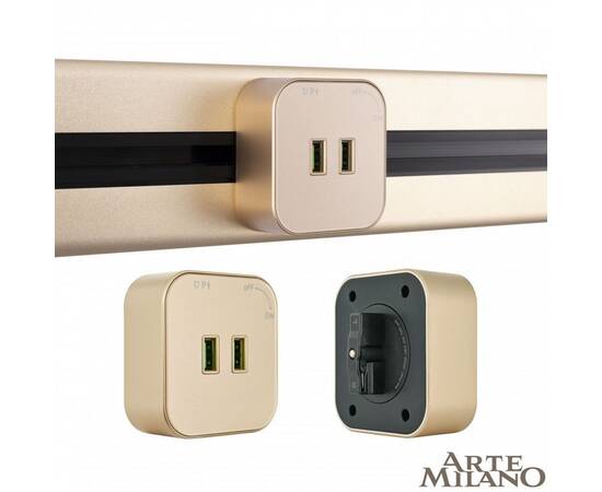 Трековая розетка Arte Milano Am-track-sockets 380022TS/USBx2 Gold