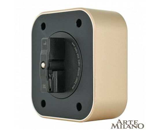 Трековая розетка Arte Milano Am-track-sockets 380022TS/USBx2 Gold, изображение 2