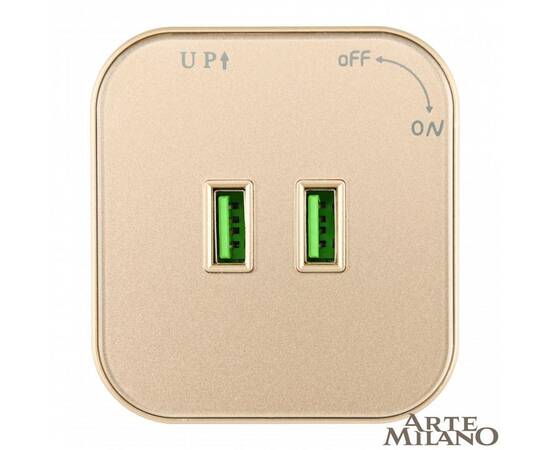 Трековая розетка Arte Milano Am-track-sockets 380022TS/USBx2 Gold, изображение 3